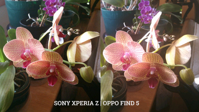 oppo find5- sony xperiaz5