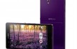 Purple-3_450xNA
