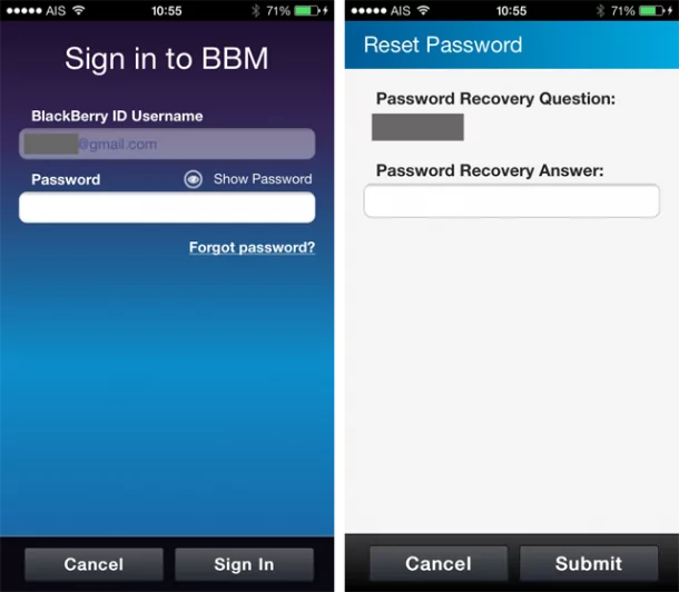 BBM iOS Review bbm-signin-reset-password