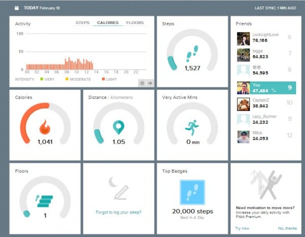 FitBit Dashboard