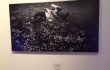 Nokia Lumia Pics Gallery_6