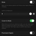 applewatch-setting4
