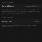 Apple Watch Music Setting 1