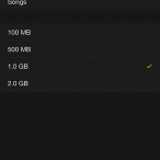 Apple Watch Music Setting 2