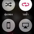 Apple Watch Music Setting 4