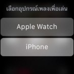 Apple Watch Music Setting 5