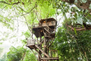 tamarind-treehouse-7