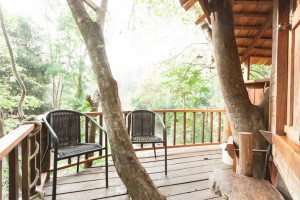 tamarind-treehouse-9