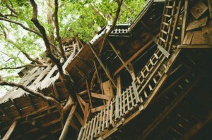 tree-house-5