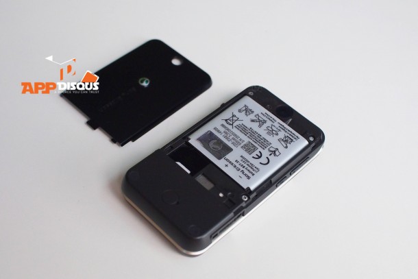 Sony Ericsson R306  (19)