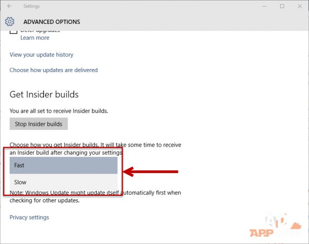 Windows 10 Insider Fast and slow