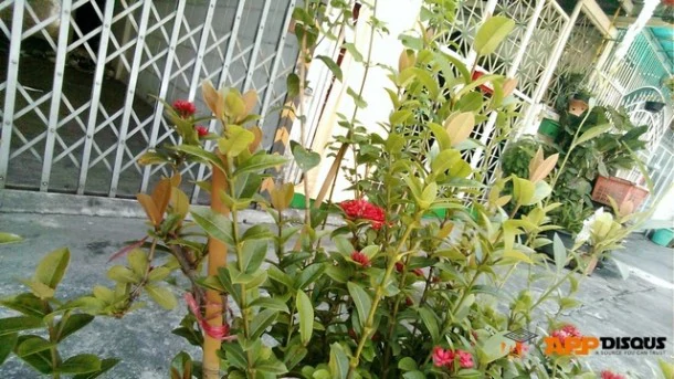 131 | featured | <!--:TH-->[ทดสอบการใช้งาน] HTC Windows Phone 8X ความหรูบนระบบ WP8 และความแตกต่างจากเครื่อง WP8 อื่นๆ<!--:-->