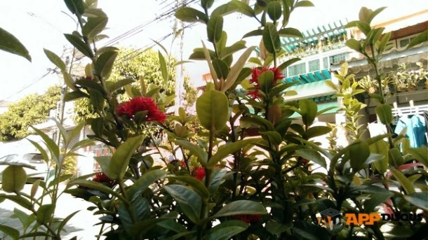 14 | featured | <!--:TH-->[ทดสอบการใช้งาน] HTC Windows Phone 8X ความหรูบนระบบ WP8 และความแตกต่างจากเครื่อง WP8 อื่นๆ<!--:-->