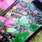 IMG 20130120 1649482 | i-Mobile | <!--:TH--></noscript>รีวิว i-mobile IQ6 สมาร์ทโฟนราคา 8,490 บาท ที่ไม่ควรมองข้ามเป็นอย่างยิ่ง