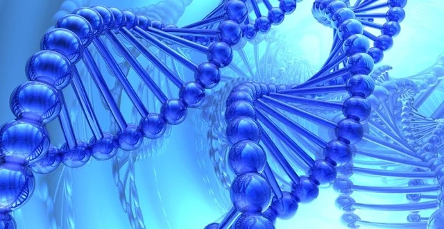 61422 | digital data in dna | <!--:TH--></noscript>สุดยอดนวัตกรรม!!! จัดเก็บข้อมูลดิจิทัลด้วย DNA