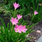 WP 20130715 027 | NOKIA | <!--:TH--></noscript>รีวิว Nokia Lumia 925: ความลงตัวที่มาพร้อมกับ Windows Phone 8 GDR2 (พร้อมแนะนำการใช้งาน)