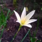 WP 20130715 029 | NOKIA | <!--:TH--></noscript>รีวิว Nokia Lumia 925: ความลงตัวที่มาพร้อมกับ Windows Phone 8 GDR2 (พร้อมแนะนำการใช้งาน)