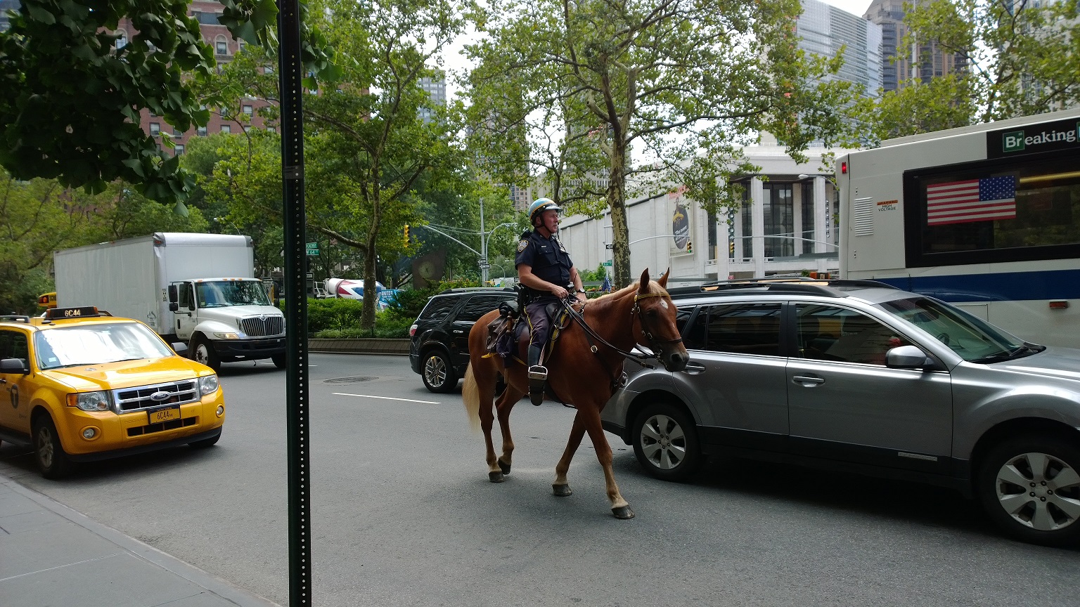 horse cop (1)