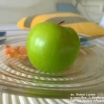example picture photo lumia 1020 26 | NOKIA | <!--:TH--></noscript>รีวิว Nokia Lumia 1020 ทุกฟังก์ชันการใช้งาน และกล้อง 41 ล้านพิกเซล
