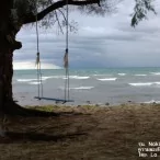 example picture photo lumia 1020 31 | NOKIA | <!--:TH--></noscript>รีวิว Nokia Lumia 1020 ทุกฟังก์ชันการใช้งาน และกล้อง 41 ล้านพิกเซล