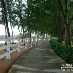 example picture photo lumia 1020 32 | NOKIA | <!--:TH--></noscript>รีวิว Nokia Lumia 1020 ทุกฟังก์ชันการใช้งาน และกล้อง 41 ล้านพิกเซล