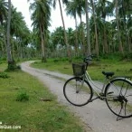 example picture photo lumia 1020 36 | NOKIA | <!--:TH--></noscript>รีวิว Nokia Lumia 1020 ทุกฟังก์ชันการใช้งาน และกล้อง 41 ล้านพิกเซล