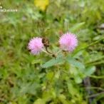example picture photo lumia 1020 37 | NOKIA | <!--:TH--></noscript>รีวิว Nokia Lumia 1020 ทุกฟังก์ชันการใช้งาน และกล้อง 41 ล้านพิกเซล