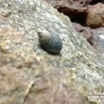 example picture photo lumia 1020 40 | NOKIA | <!--:TH--></noscript>รีวิว Nokia Lumia 1020 ทุกฟังก์ชันการใช้งาน และกล้อง 41 ล้านพิกเซล