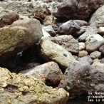 example picture photo lumia 1020 41 | NOKIA | <!--:TH--></noscript>รีวิว Nokia Lumia 1020 ทุกฟังก์ชันการใช้งาน และกล้อง 41 ล้านพิกเซล