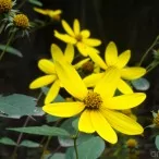 qx10 3 | QX10 | <!--:TH--></noscript>ตัวอย่างภาพถ่ายชุดใหญ่ จาก Sony Cyber-shot QX10 