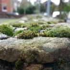 z1 sample 08 | Sony (Xperia Series) | <!--:TH--></noscript>ตัวอย่างภาพถ่ายและวีดีโอ ของ Sony Xperia Z1