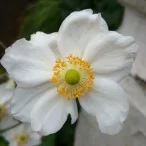 z1 sample 09 | Sony (Xperia Series) | <!--:TH--></noscript>ตัวอย่างภาพถ่ายและวีดีโอ ของ Sony Xperia Z1
