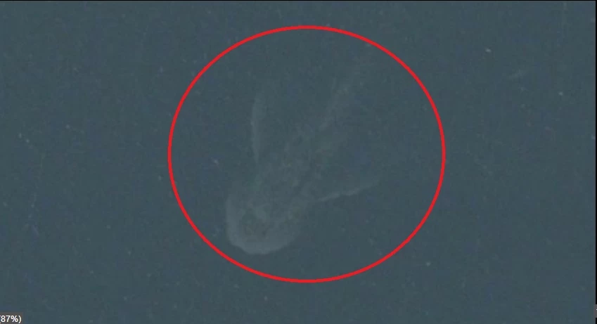 117 | Apple Maps | ปริศนาสัตว์ประหลาด Loch Ness โผล่ใน Apple Maps เฉลยแล้ว ที่แท้มันก็แค่เรือกับคลื่น!!!