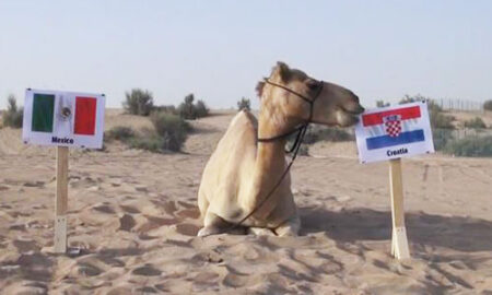 Cortana อัพเดทใหม่ เพิ่มฟังก์ชั่นทำนายผลบอลโลกได้แล้ว