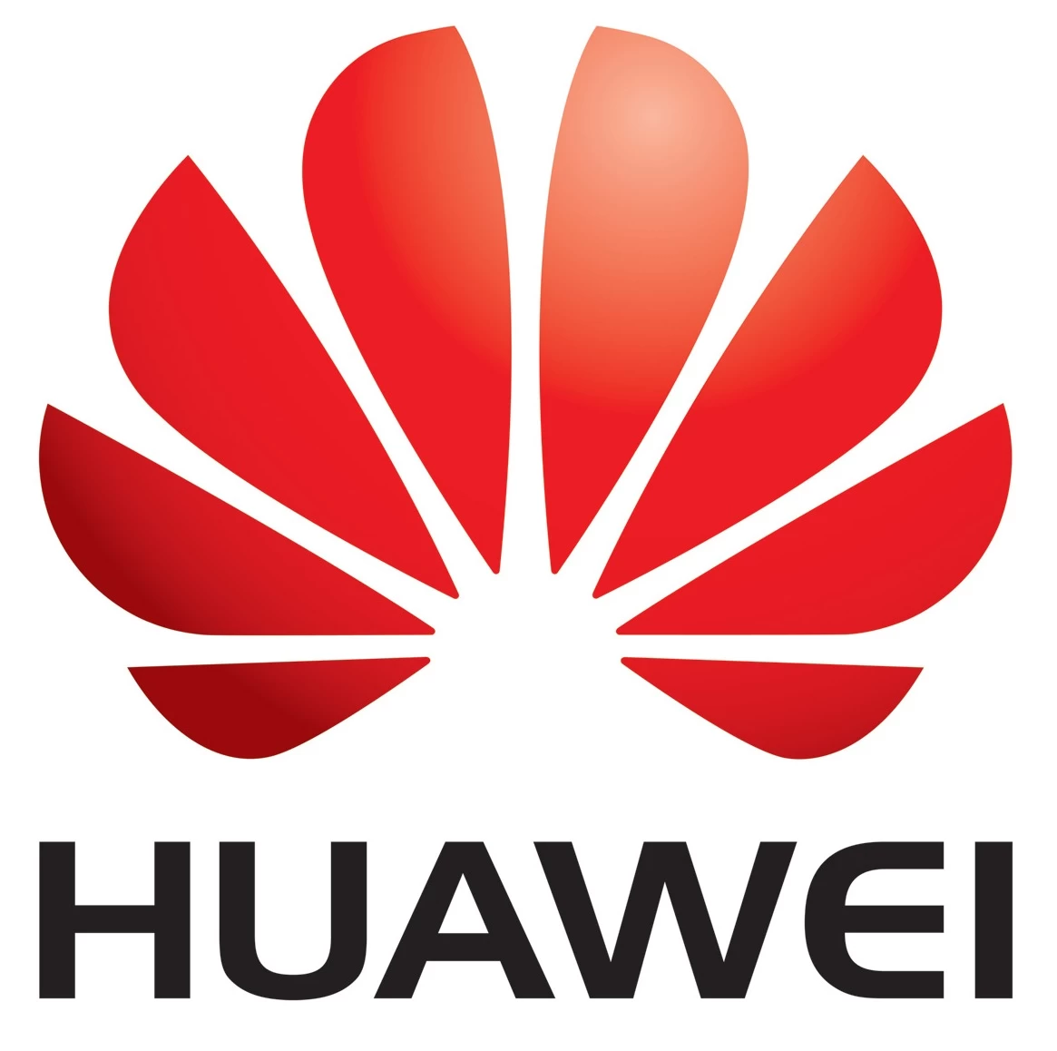 huawei logo2 | Huawei Ascend W1 | ผู้บริหาร Huawei ระบุไม่มีใครทำกำไรได้จากระบบ Windows phone