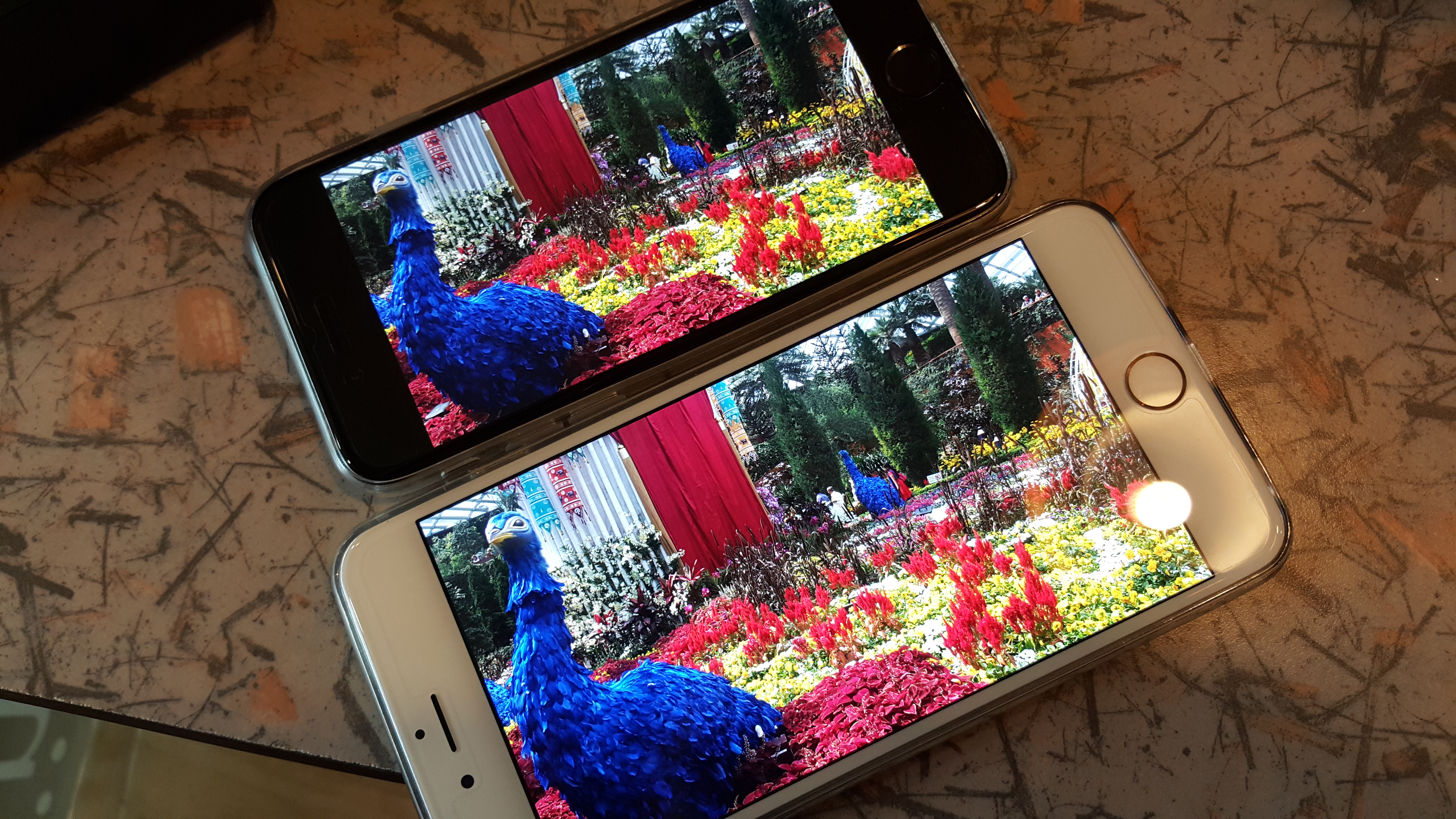 20141105 140949 | iPhone 6 | Appdisqus Compare: เทียบระบบกันสั่น ของกล้อง iPhone 6 และ iPhone 6 Plus เห็นผลต่างที่ควรพิจารณา