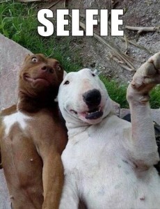 Dogs-get-in-on-the-selfie-action