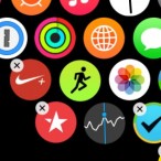 Apple Watch App Drawer Interface 2