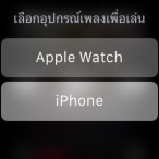 Apple Watch Music Setting 5