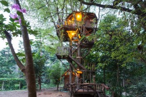 tamarind-treehouse-1
