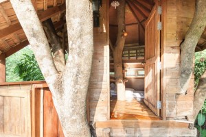 tamarind-treehouse-14