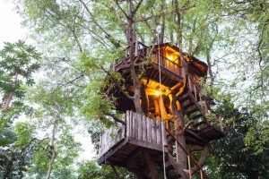 tamarind-treehouse-2