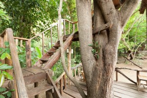 tamarind-treehouse-4