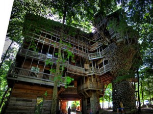 tree-house-2