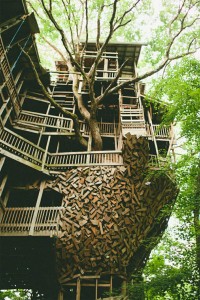 tree-house-4