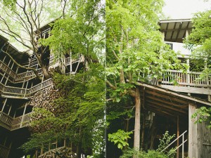 tree-house-8