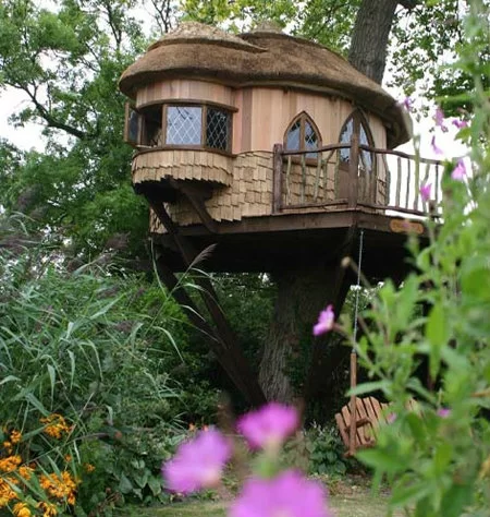 tree house 10 | Tree house | [ชวนคุยยามเช้า] ตอนเด็กๆ มีใครเคยฝันอยากมีบ้านต้นไม้กันบ้าง?