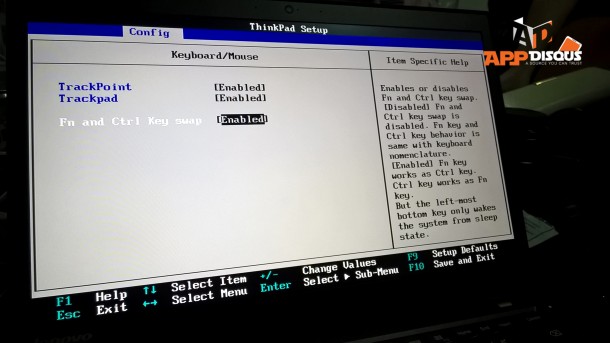 Lenovo ThinkPad T450s reviews  (44)