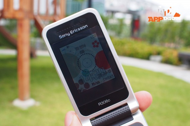Sony Ericsson R306  (17)