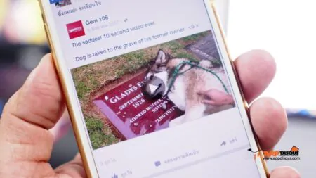 Tips: วิธีปิดการเล่นวีดีโออัตโนมัติบนหน้า Facebook
